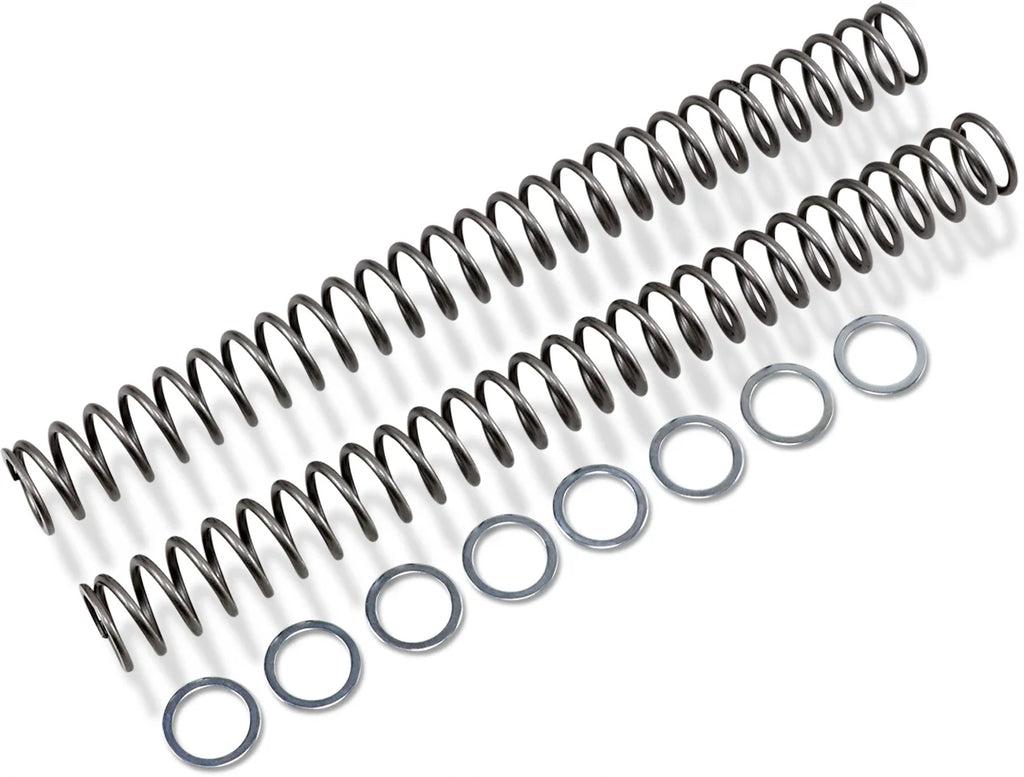 Race Tech Fork Springs - 0.52 kg/mm - Main Product View