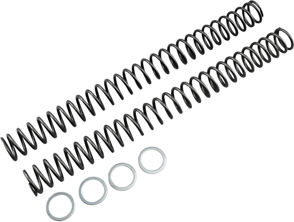 Race Tech Fork Springs - 0.54 kg/mm - Main Product View