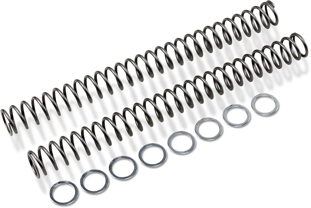 Race Tech Fork Springs - 0.54 kg/mm - Main Product View