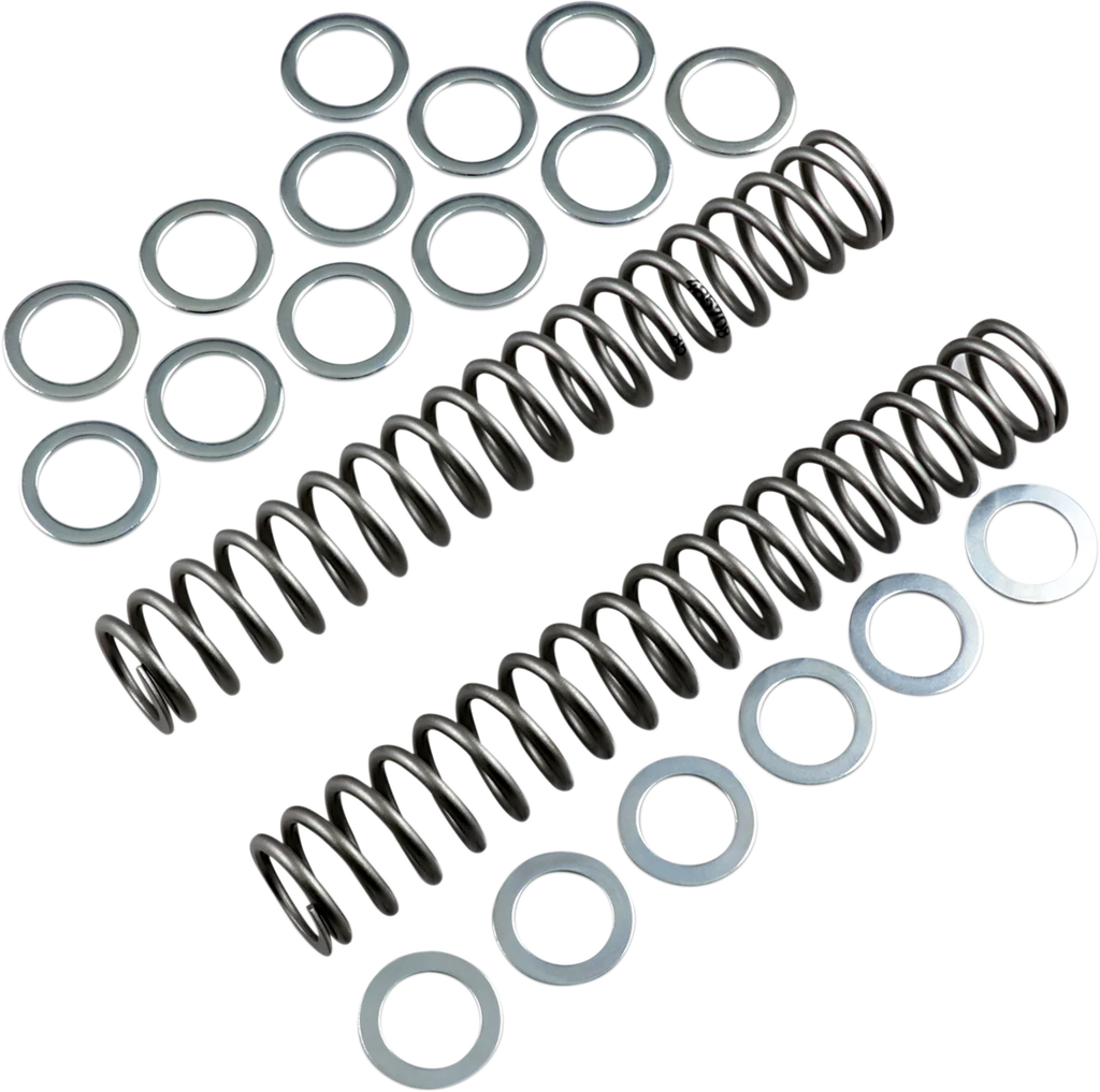 Race Tech Fork Springs - 0.85 kg/mm - Main Product View