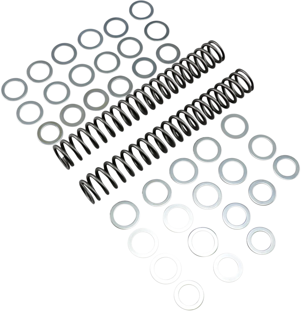 Race Tech Fork Springs - 0.90 kg/mm - Main Product View