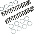 Load image into Gallery viewer, Race Tech Fork Springs - 0.95 kg/mm - Main Product View