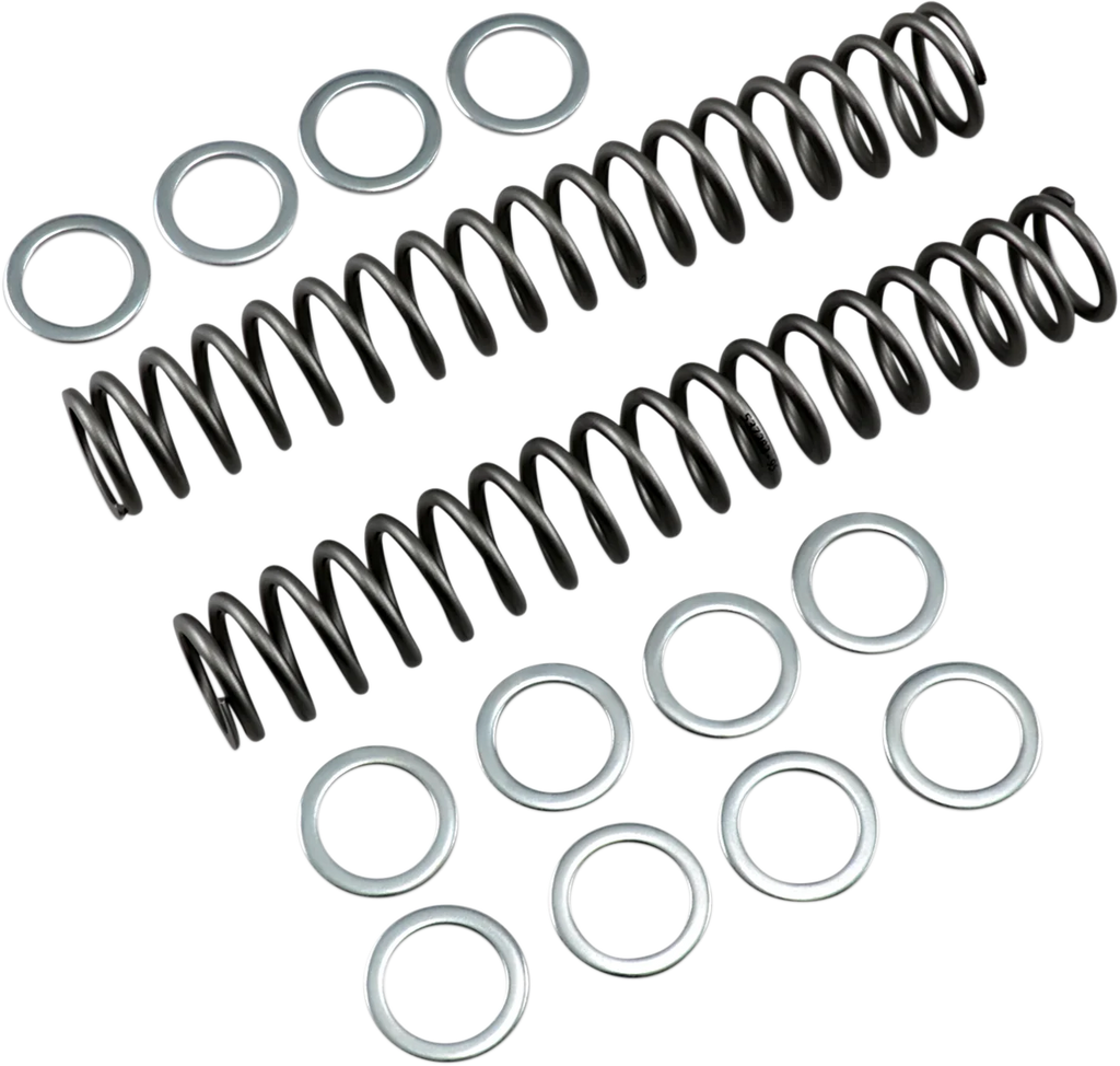 Race Tech Fork Springs - 0.95 kg/mm - Main Product View