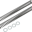 Load image into Gallery viewer, Race Tech Fork Springs - 0.95 kg/mm - Main Product View