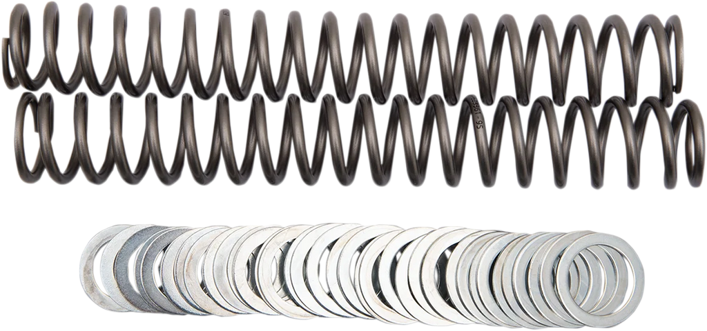 Race Tech Fork Springs - 0.95 kg/mm - Main Product View