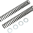 Load image into Gallery viewer, Race Tech Fork Springs - 0.95 kg/mm - Main Product View
