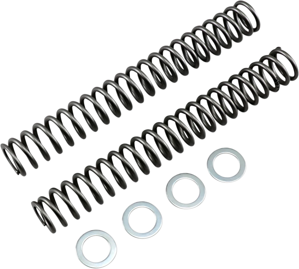 Race Tech Fork Springs - 0.95 kg/mm - Main Product View