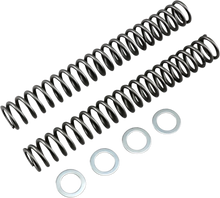 Load image into Gallery viewer, Race Tech Fork Springs - 0.95 kg/mm - Main Product View