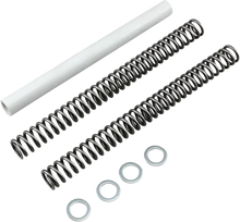 Load image into Gallery viewer, Race Tech Fork Springs - 1.0 kg/mm FRSP S3234100 - Main Product View