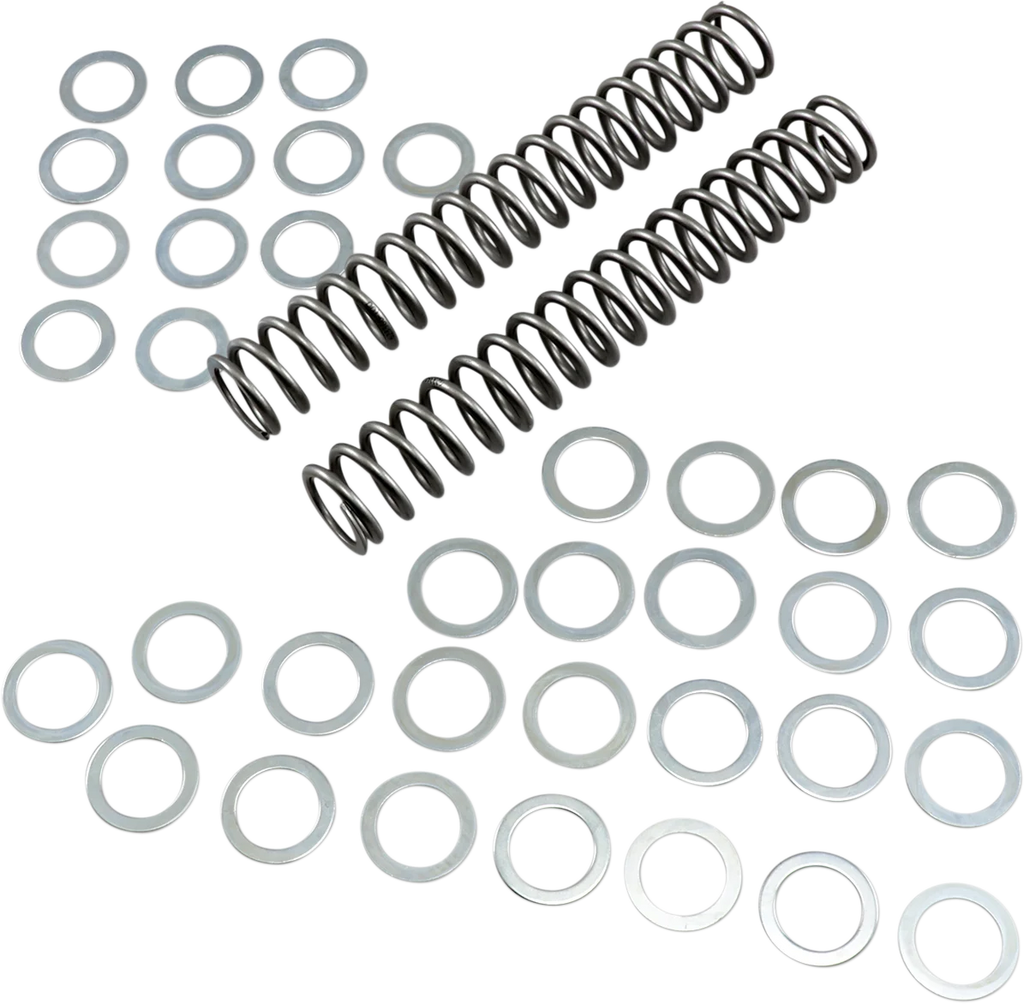 Race Tech Fork Springs - 1.00 kg/mm - Main Product View