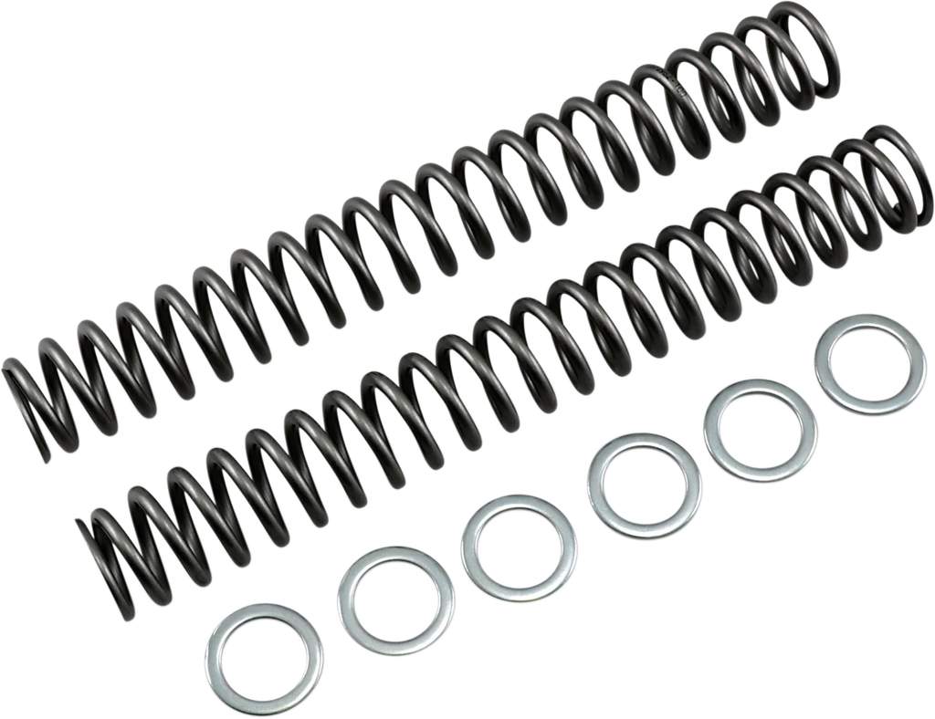 Race Tech Fork Springs - 1.00 kg/mm - Main Product View