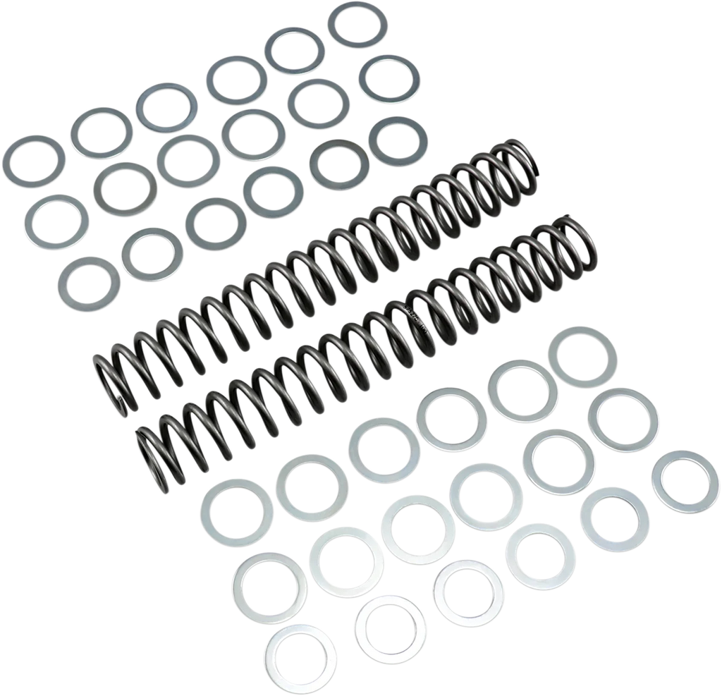 Race Tech Fork Springs - 1.00 kg/mm - Main Product View