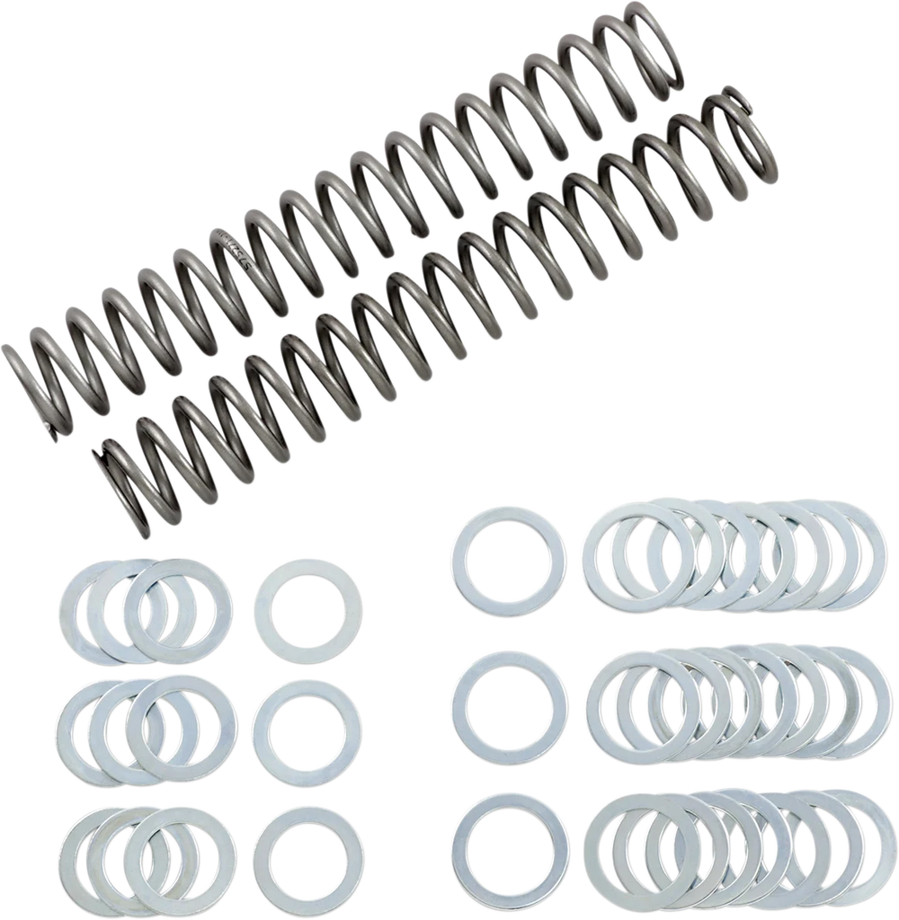Race Tech Fork Springs - 1.10 kg/mm - Main Product View