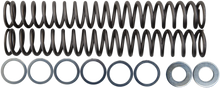 Load image into Gallery viewer, Race Tech Fork Springs - 1.10 kg/mm - Main Product View