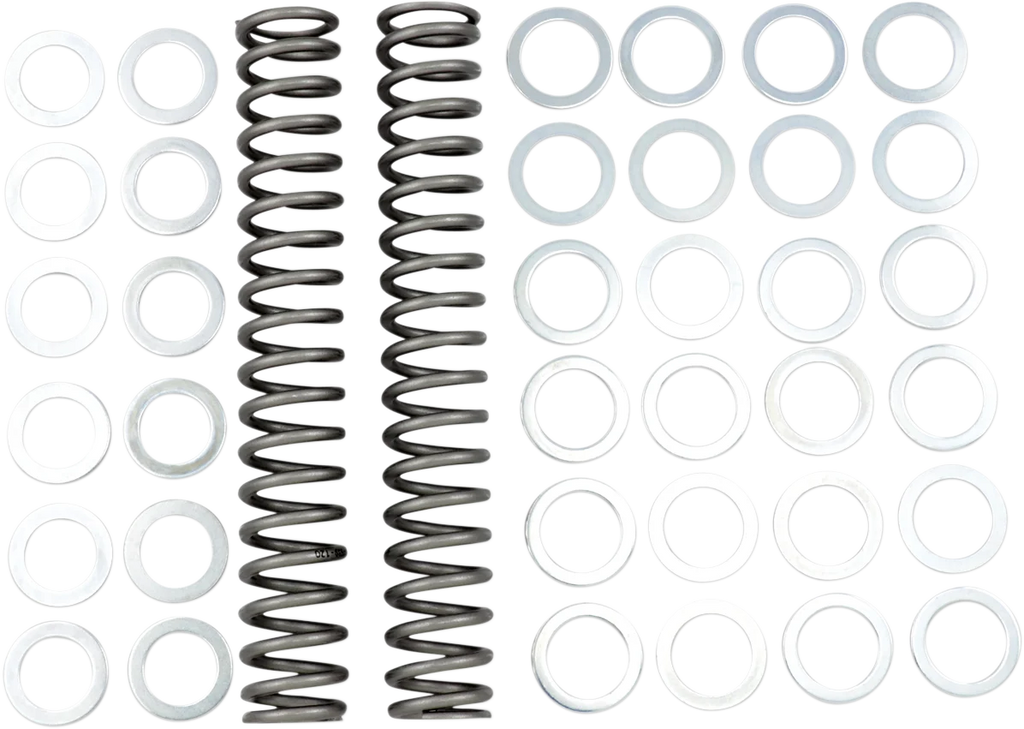 Race Tech Fork Springs - 1.20 kg/mm - Main Product View
