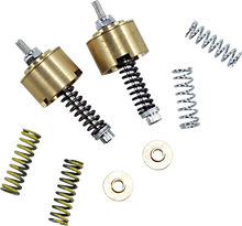 Load image into Gallery viewer, Race Tech Gold Valve Cartridge Fork Emulators for Damping Rod Forks - Main Product View