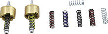 Load image into Gallery viewer, Race Tech Gold Valve Cartridge Fork Emulators for Damping Rod Forks - Main Product View
