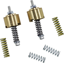 Load image into Gallery viewer, Race Tech Gold Valve Cartridge Fork Emulators for Street/Track/Touring FEGV S3001 - Main Product View