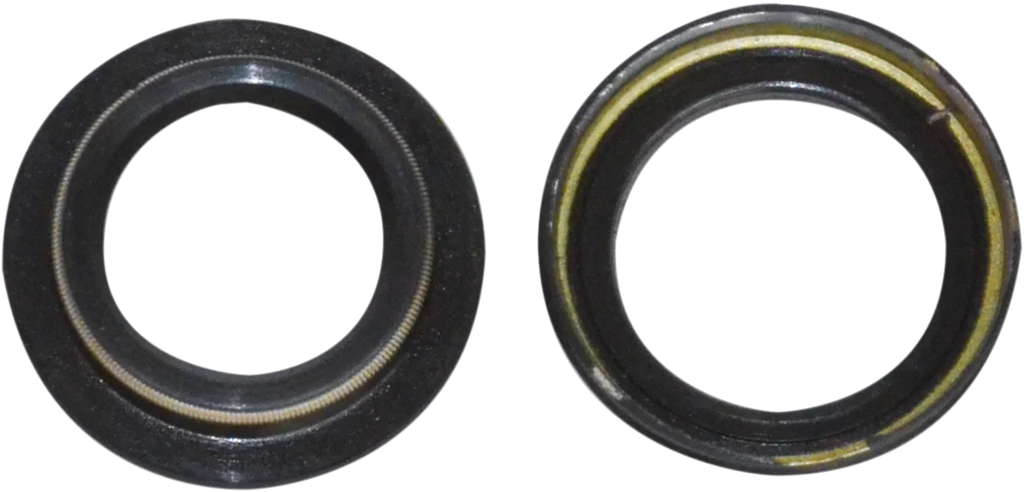Race Tech Shock Dust/Oil Seal Set - 18 mm - Main Product View