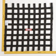 Load image into Gallery viewer, RaceQuip Black 24 X 24 SFI Ribbon Net