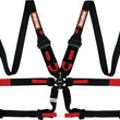 Load image into Gallery viewer, RaceQuip Black FIA CAMLOCK 6pt 2in Pull Down Lap FHR