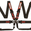 Load image into Gallery viewer, RaceQuip Black FIA CAMLOCK 6pt Pull Down Lap