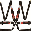 Load image into Gallery viewer, RaceQuip Black FIA CAMLOCK 6pt Pull Up Lap FHR