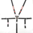 Load image into Gallery viewer, RaceQuip Black JR. CAMLOCK 5pt Seat Belt