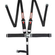 Load image into Gallery viewer, RaceQuip Black L &amp; L 5pt HNR Seat Belt