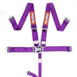 Load image into Gallery viewer, RaceQuip Purple L &amp; L 5pt Seat Belt