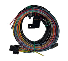 Load image into Gallery viewer, Racepak IQ3 DRAG DASH HARNESS 280-CA-IQ3D
