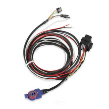 Load image into Gallery viewer, Racepak Racepak 12.3" Display 250-DS-123 - Back View