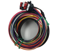 Load image into Gallery viewer, Racepak SmartWire PDM with Switch Panel (8 Channel) 500-KT-SWDRAG - Back View