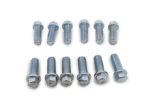 Load image into Gallery viewer, Racing Power Company Header Bolt Kit 3/8in Zinc Set Of 12