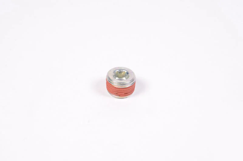 Radium Engineering 3/8in NPT Plug