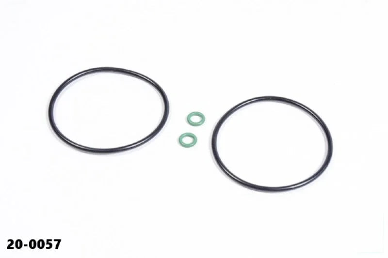 Radium Engineering Catch Can O-Ring Service Kit - Main Product View