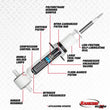 Load image into Gallery viewer, Rancho 11-15 Dodge Durango Front RS5000X Strut - Side View