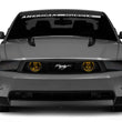 Load image into Gallery viewer, Raxiom 05-12 Ford Mustang GT Fog Lights Yellow - Side View