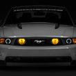 Load image into Gallery viewer, Raxiom 05-12 Ford Mustang GT Fog Lights Yellow - Back View