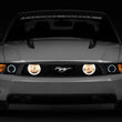 Load image into Gallery viewer, Raxiom 05-12 Ford Mustang GT LED Halo Fog Lights (Chrome) - Side View
