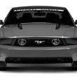 Load image into Gallery viewer, Raxiom 05-12 Ford Mustang GT LED Halo Fog Lights (Chrome) - Additional View 13