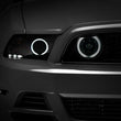 Load image into Gallery viewer, Raxiom 13-14 Ford Mustang GT CCFL Halo Fog Lights (Smoked) - Main Product View