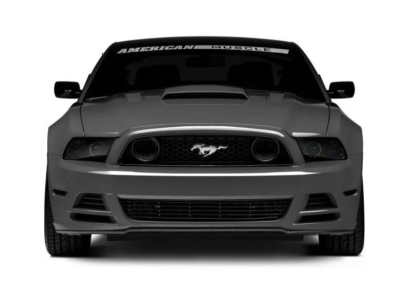 Raxiom 13-14 Ford Mustang GT CCFL Halo Fog Lights (Smoked) - Additional View 6