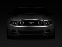 Load image into Gallery viewer, Raxiom 13-14 Ford Mustang GT CCFL Halo Fog Lights (Smoked) - Additional View 8