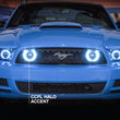 Load image into Gallery viewer, Raxiom 13-14 Ford Mustang GT CCFL Halo Fog Lights (Smoked) - Additional View 10