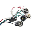 Load image into Gallery viewer, Raxiom 96-04 Ford Mustang Excluding 99-01 Cobra Sequential Tail Light Kit (Plug-and-Play Harness) - Back View