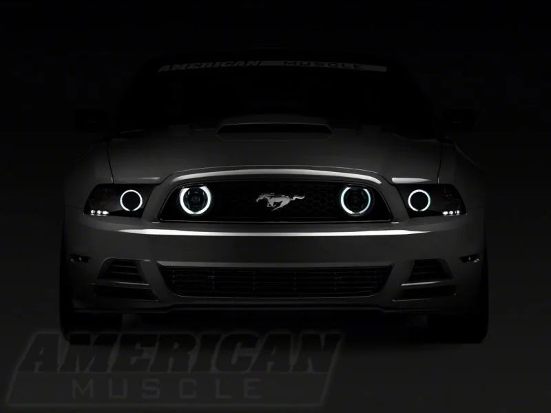Raxiom GT CCFL Halo Fog Lights - Chrome fits 2013-2014 Ford Mustang GT - Additional View 6