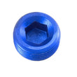 Load image into Gallery viewer, Redhorse Performance 1/16in NPT Hex Head Pipe Plug 2/pkg Blue 932-01-1