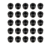 Load image into Gallery viewer, Redhorse Performance 1/4in NPT Socket Head Pipe Plug 25/pkg Black 932-04-25-2