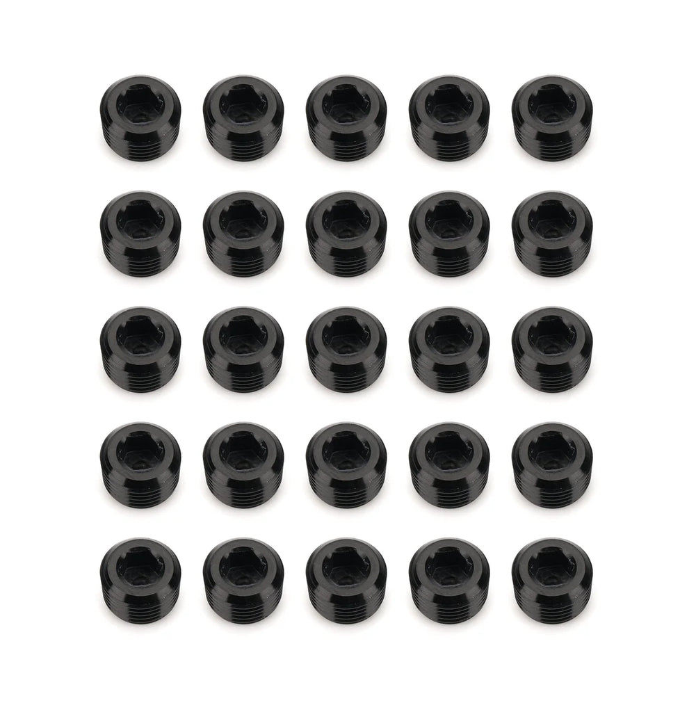 Redhorse Performance 1/8in NPT Socket Head Pipe Plug 25/pkg Black 932-02-25-2
